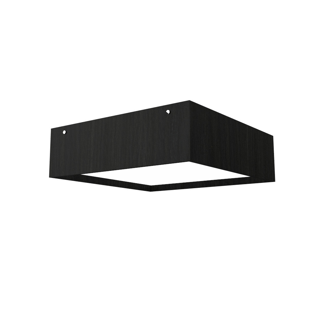 Ceiling Lamp Accord Clean 573 - Clean Line Accord Lighting | 44. Charcoal