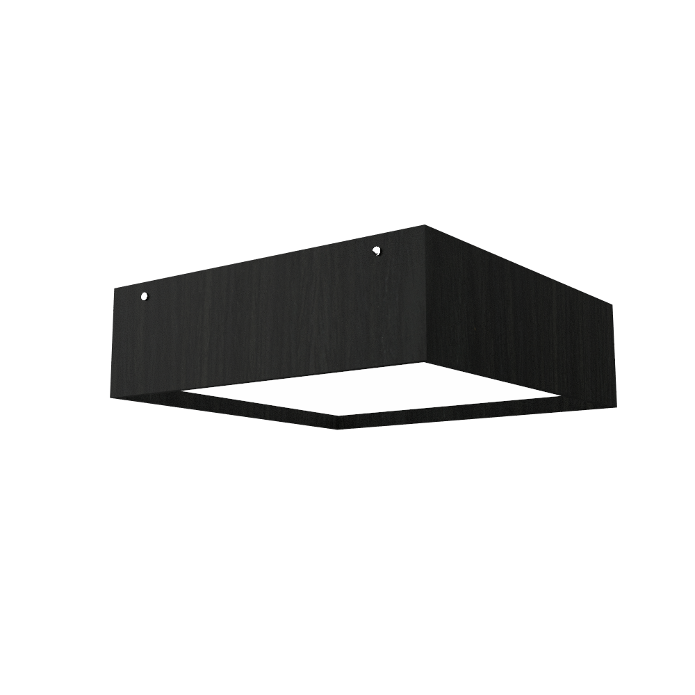 Ceiling Lamp Accord Clean 573 - Clean Line Accord Lighting | 46. ​​Organic Black