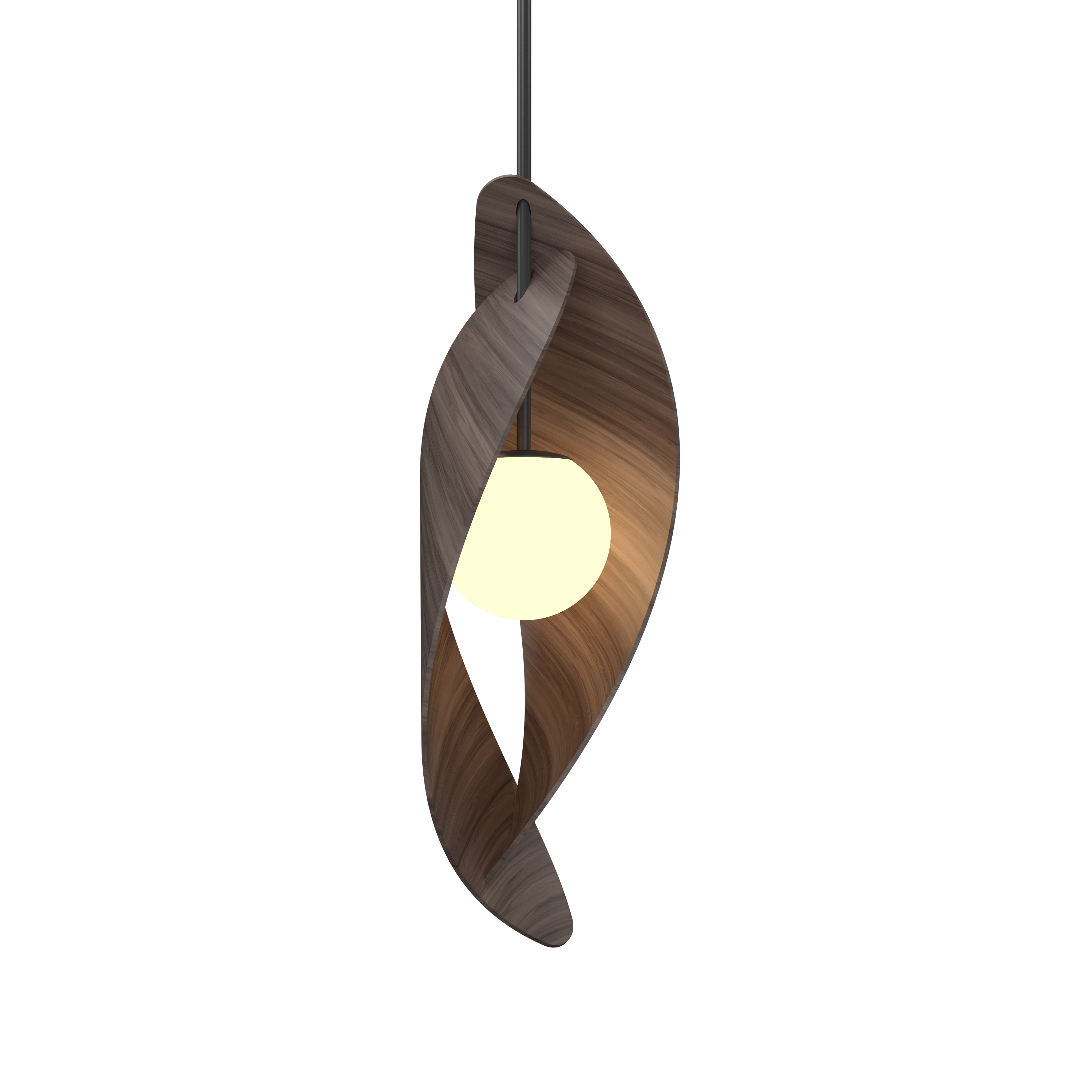 Pendant Lamp Oyster 1512 - Oyster Line Accord Lighting | 18. American Walnut