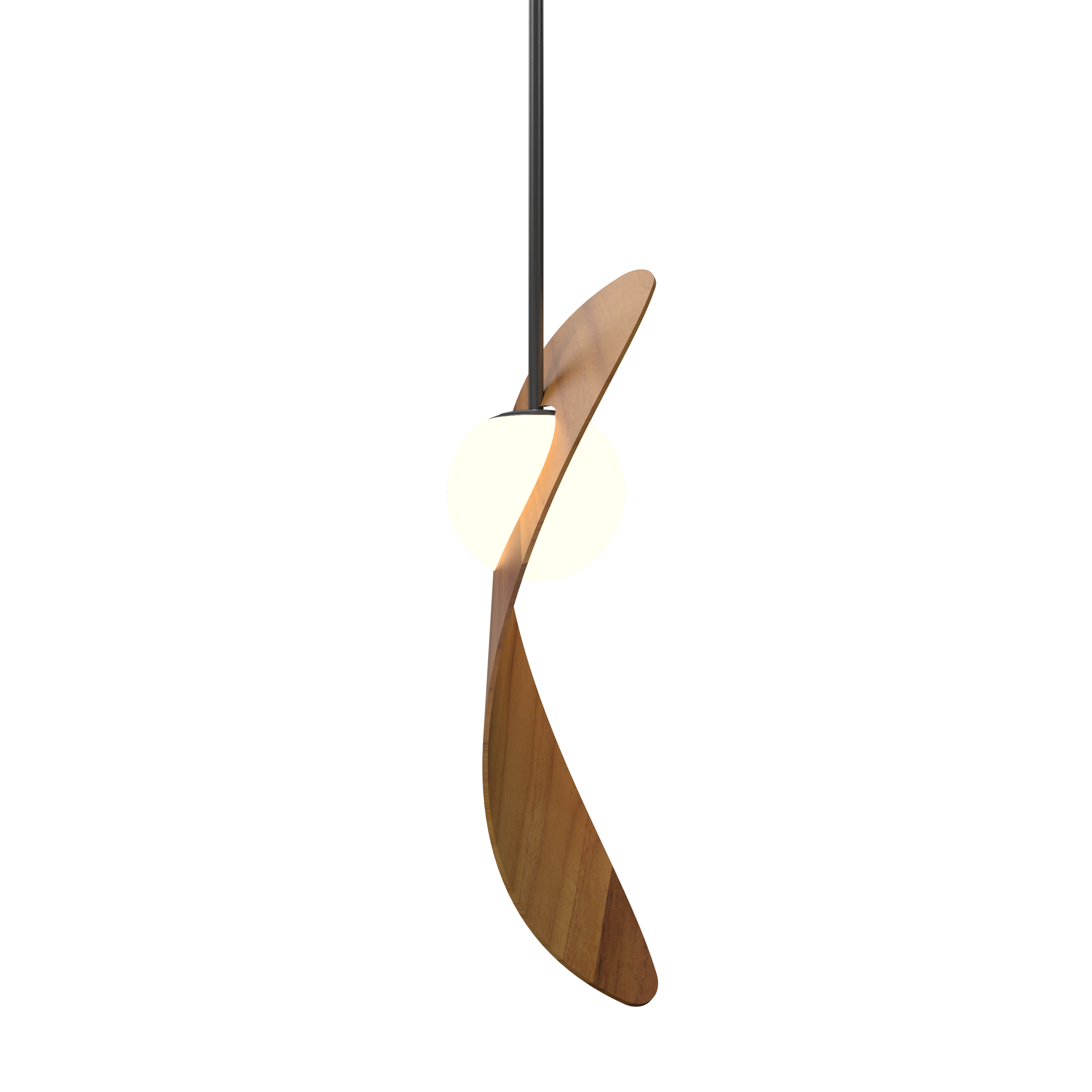 Pendant Lamp Oyster 1511 - Oyster Line Accord Lighting | 12. Teak