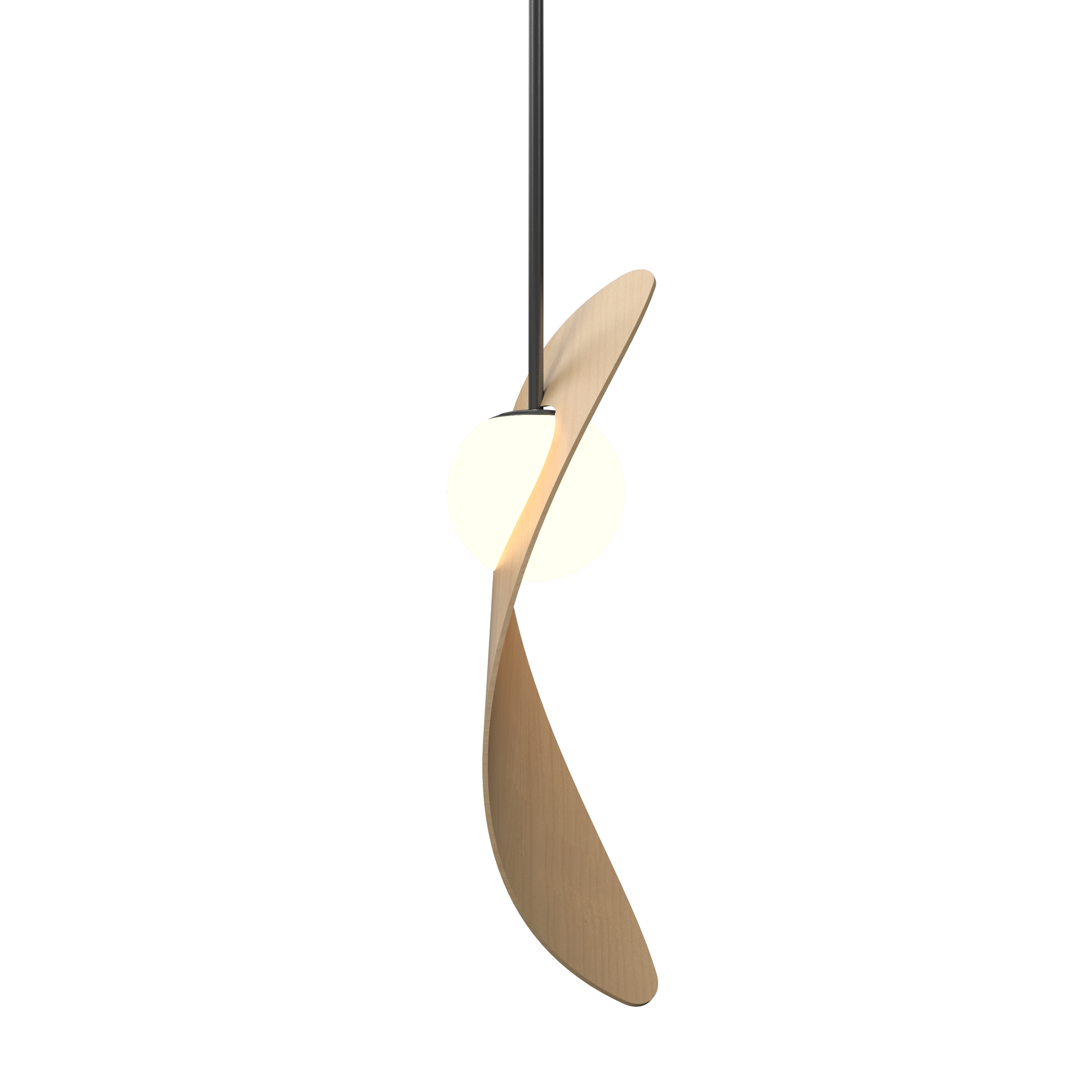 Pendant Lamp Oyster 1511 - Oyster Line Accord Lighting | 34. Maple