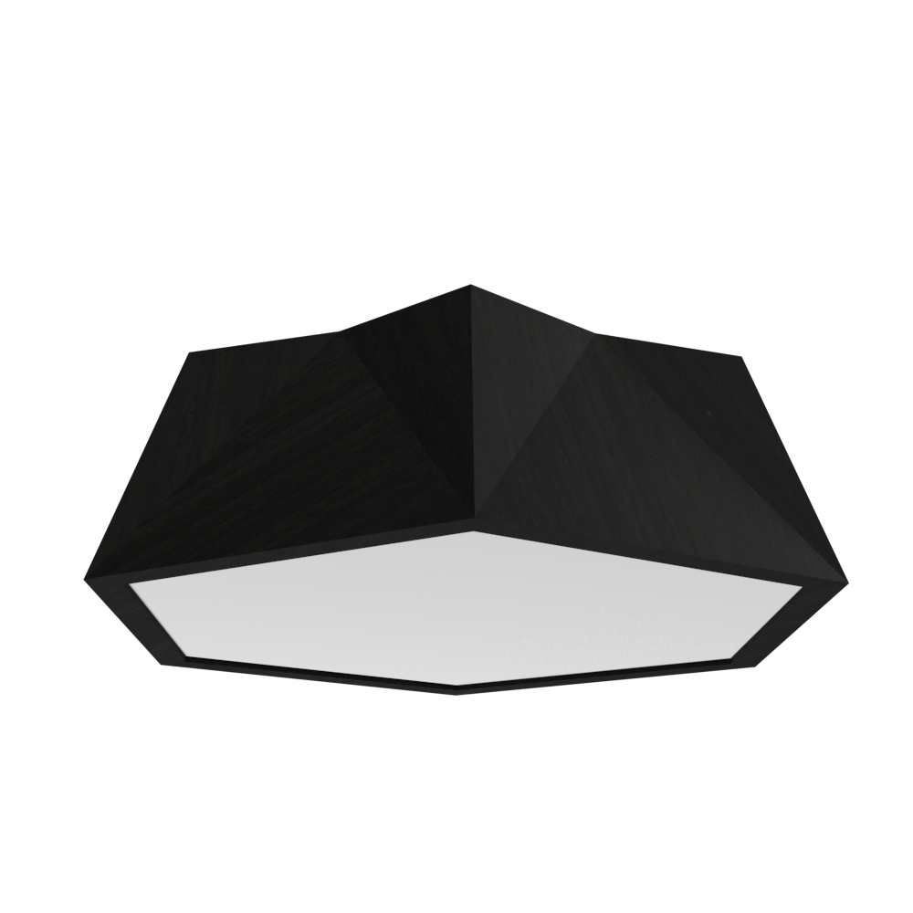 Ceiling Lamp Accord Physalis 5063 - Physalis Line Accord Lighting | 46. ​​Organic Black